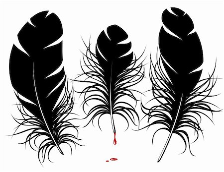 denis13 (artist) - Vector feather silhouette Fotografie stock - Microstock e Abbonamento, Codice: 400-06075503