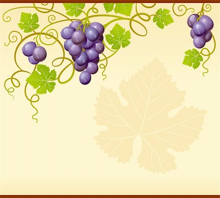 denis13 (artist) - Vector grape ornament Stock Photo - Budget Royalty-Free & Subscription, Code: 400-06075516
