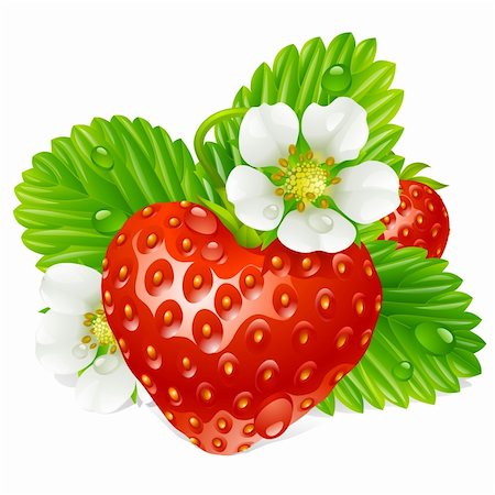 denis13 (artist) - Vector strawberry in the shape of heart and white flowers Stock Photo - Budget Royalty-Free & Subscription, Code: 400-06075520