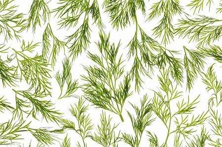 simsearch:400-07956886,k - Fresh Dill close-up background / back-lit Photographie de stock - Aubaine LD & Abonnement, Code: 400-06076255