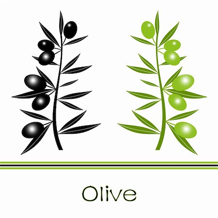Silhouette of black  and green olives branch Fotografie stock - Microstock e Abbonamento, Codice: 400-06076638
