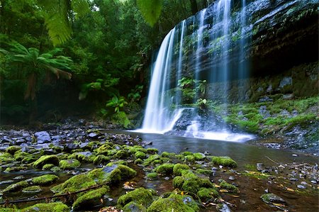 simsearch:400-04354956,k - russell falls (Mount Field National Park,Tasmania,Australia) Photographie de stock - Aubaine LD & Abonnement, Code: 400-06076869