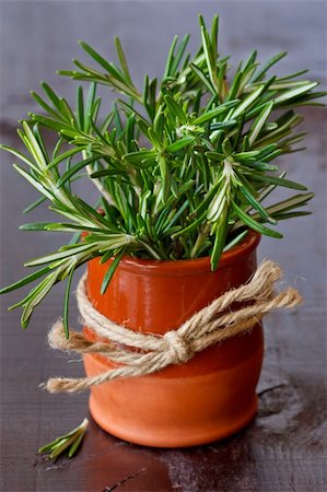 simsearch:400-05381074,k - Bunch of fresh rosemary in a ceramic pot. Stock Photo - Budget Royalty-Free & Subscription, Code: 400-06077164