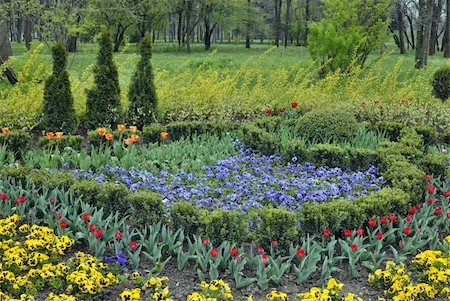 simsearch:400-07169748,k - Flower lawn in spring garden Photographie de stock - Aubaine LD & Abonnement, Code: 400-06078238