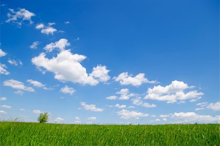 fresh air background - blue sky with clouds and green grass Photographie de stock - Aubaine LD & Abonnement, Code: 400-06078259