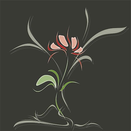 elegant swirl vector accents - fine red flower on dark gray background Foto de stock - Super Valor sin royalties y Suscripción, Código: 400-06078316