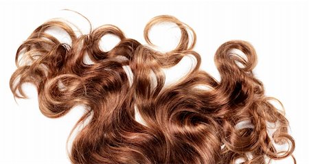 salon background - human brown hair on white isolated background Stock Photo - Budget Royalty-Free & Subscription, Code: 400-06078337