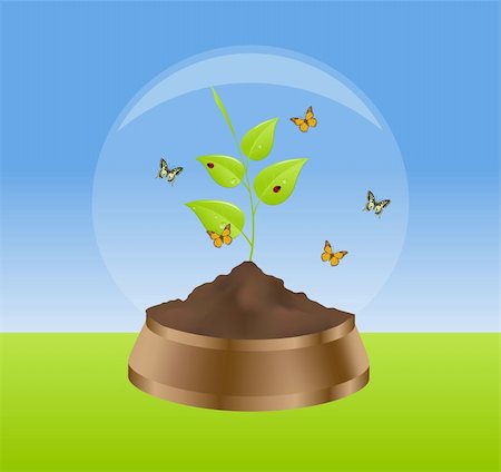 Green plant, butterflies and ladybirds in glass ball. Vector illustration. Foto de stock - Super Valor sin royalties y Suscripción, Código: 400-06079266