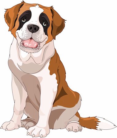 dog ear cartoon - St. Bernard Dog, sitting in front of white background Stock Photo - Budget Royalty-Free & Subscription, Code: 400-06079531