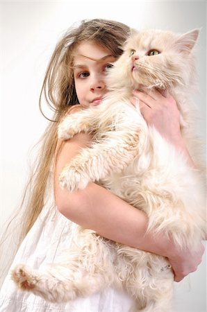 close-up portrait of a little girl holding her Persian breed kitten Photographie de stock - Aubaine LD & Abonnement, Code: 400-06070419