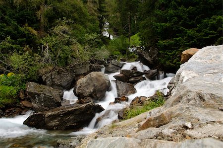 The cold waters of a forest stream running over mossy rocks in the Italian mountains Foto de stock - Super Valor sin royalties y Suscripción, Código: 400-06070581