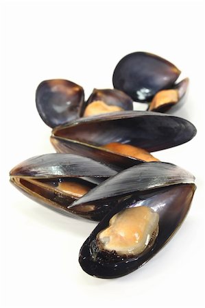 simsearch:400-05939167,k - fresh cooked mussels on a of white background Photographie de stock - Aubaine LD & Abonnement, Code: 400-06071548