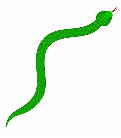 simsearch:400-06071657,k - Green Snake with Scales Slithering on Isolated White Background Illustration Foto de stock - Super Valor sin royalties y Suscripción, Código: 400-06071656