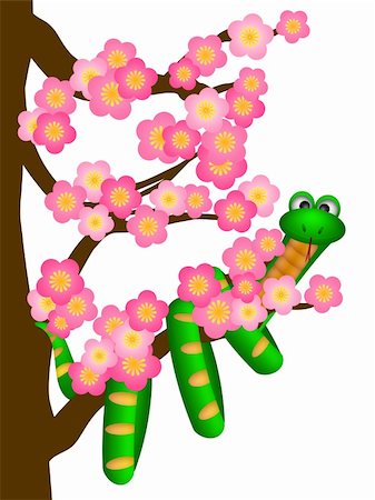 Chinese New Year Green Snake on Cherry Blossom Flowering Tree in Spring Illustration Stock Photo - Budget Royalty-Free & Subscription, Code: 400-06071657