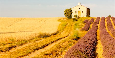 chapel with lavender and grain fields, Plateau de Valensole, Provence, France Stock Photo - Budget Royalty-Free & Subscription, Code: 400-06071837