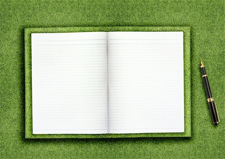 reading book open air - blank opened book outdoors on the green grassland and pen Stock Photo - Budget Royalty-Free & Subscription, Code: 400-06072597