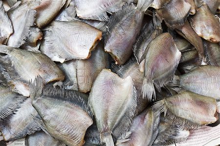 Salid Fish for sale in market ,Thailand. Stock Photo - Budget Royalty-Free & Subscription, Code: 400-06073008