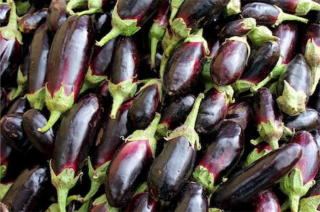simsearch:400-08933041,k - Agricultural background, a dark blue eggplant Photographie de stock - Aubaine LD & Abonnement, Code: 400-06084421
