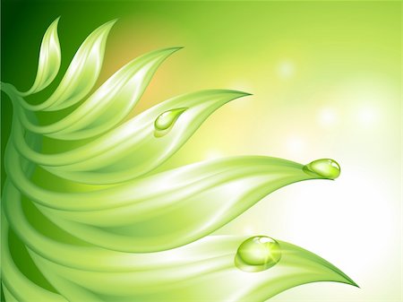 Abstract green background with leaves and water drops (no mesh) Stock Photo - Budget Royalty-Free & Subscription, Code: 400-06084680