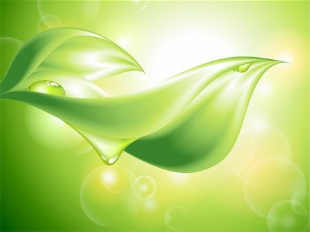 Abstract green background with leaves and water drops (no mesh) Stock Photo - Budget Royalty-Free & Subscription, Code: 400-06084681