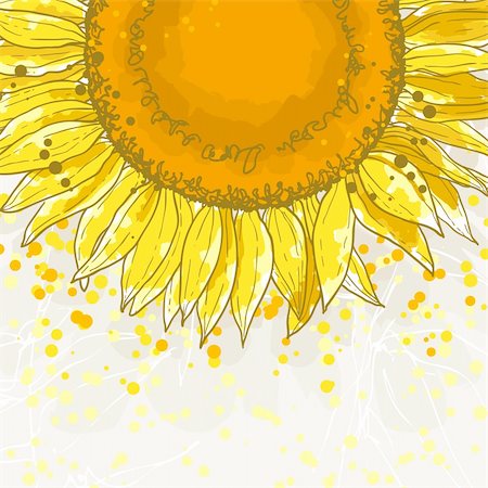 drawing of a beautiful flower - The contour drawing flower sunflower. Can be used as background for invitation cards. Stock Photo - Budget Royalty-Free & Subscription, Code: 400-06085069