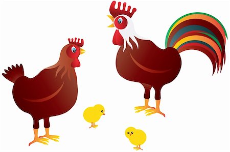 Chicken Family with Rooster Hen and Chicks Illustration Isolated on White Background Stock Photo - Budget Royalty-Free & Subscription, Code: 400-06085517