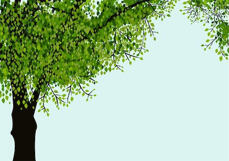 elakwasniewski (artist) - Tree isolated on blue sky background with space for your text. Full scalable vector graphic included Eps v8 and 300 dpi JPG Foto de stock - Super Valor sin royalties y Suscripción, Código: 400-06085794