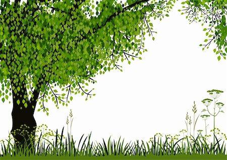 elakwasniewski (artist) - Green tree and meadow on white background with space for your text. Full scalable vector graphic included Eps v8 and 300 dpi JPG Stock Photo - Budget Royalty-Free & Subscription, Code: 400-06085796