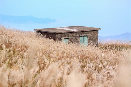 rain on roof - old stone house with grass on the mountain Stock Photo - Budget Royalty-Free & Subscription, Code: 400-06087060