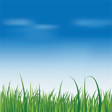 Spring fresh green grass over blue sky background, vector illustration. Fotografie stock - Microstock e Abbonamento, Codice: 400-06087071