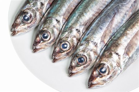 sergioua (artist) - The heads of raw mackerel on a plate. On a white background. Photographie de stock - Aubaine LD & Abonnement, Code: 400-06087519