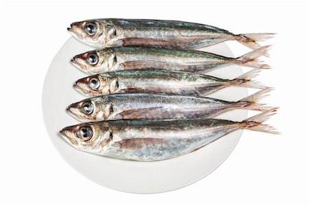 sergioua (artist) - Raw mackerel on a plate. On a white background. Photographie de stock - Aubaine LD & Abonnement, Code: 400-06087513