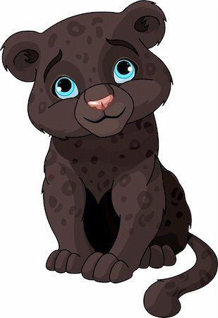 puma animal - Cute black panther cub Stock Photo - Budget Royalty-Free & Subscription, Code: 400-06087979