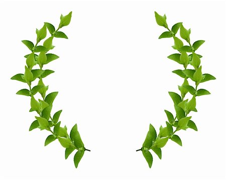 Laurel Wreath made by fresh Green leaves  isolated on white, Stock Photo - Budget Royalty-Free & Subscription, Code: 400-06088189