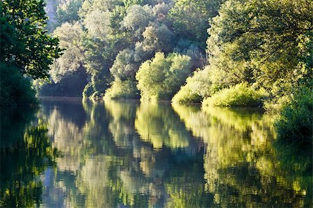 Beautiful Reflection on Cetina River near Split, Croatia Stock Photo - Budget Royalty-Free & Subscription, Code: 400-06088336