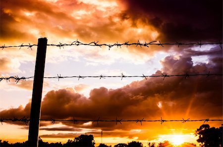 simsearch:6118-09059537,k - Barbed wire fence and the sun in farmland Stock Photo - Budget Royalty-Free & Subscription, Code: 400-06088564