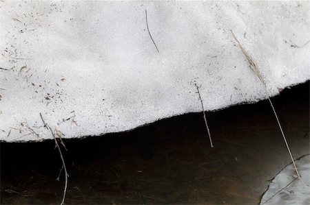 sleet - Melting snow in the spring wood over the floodwater. Snows of yesteryear. Stock Photo - Budget Royalty-Free & Subscription, Code: 400-06089334