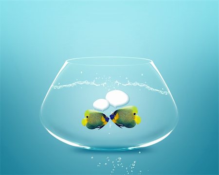 poisson-ange - Happy school of angel fish angelfish faces as social network with speech bubbles. Photographie de stock - Aubaine LD & Abonnement, Code: 400-06080240
