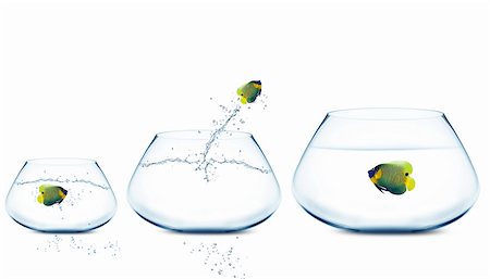 simsearch:400-06080242,k - Anglefish jumping to Big bowl, Good Concept for new life, Big Opprtunity, Ambition and challenge concept. Foto de stock - Super Valor sin royalties y Suscripción, Código: 400-06080250