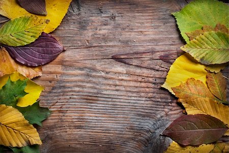 simsearch:400-05880107,k - Autumn leaves on grunge wooden background Photographie de stock - Aubaine LD & Abonnement, Code: 400-06080419