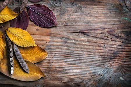 simsearch:400-05880107,k - Autumn leaves on grunge wooden background Stockbilder - Microstock & Abonnement, Bildnummer: 400-06080421
