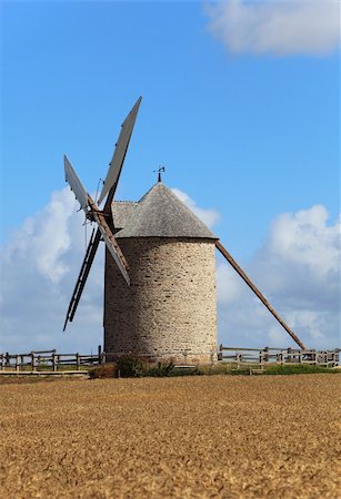 simsearch:400-06101286,k - Windmill in a wheat field.This is "Le Moulin de Moidrey" located in the vicinity of Mount Saint Michel Monastery in France. Stock Photo - Budget Royalty-Free & Subscription, Code: 400-06080488