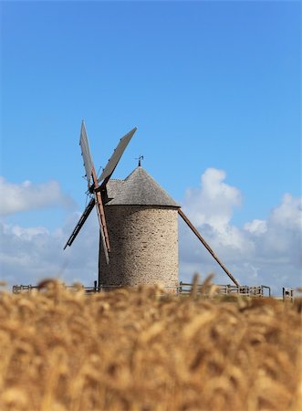 simsearch:400-06101286,k - Windmill in a wheat field.Selective focus on the windmill.This is "Le Moulin de Moidrey" located in the vicinity of Mount Saint Michel Monastery in France. Stock Photo - Budget Royalty-Free & Subscription, Code: 400-06080544