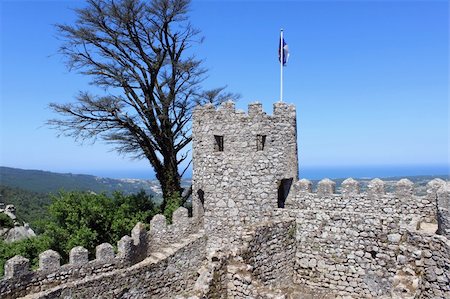 serra de sintra - Moorish castle in Sintra, Portugal Stock Photo - Budget Royalty-Free & Subscription, Code: 400-06080940