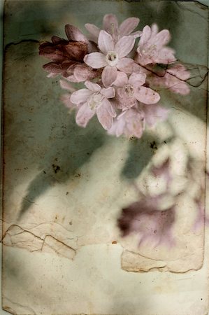 Vintage background with Spring flowers Foto de stock - Royalty-Free Super Valor e Assinatura, Número: 400-06081283