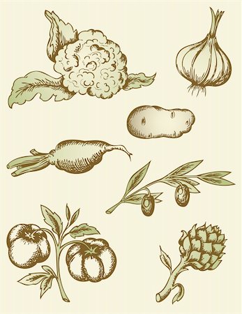 pic of cabbage for drawing - Vector hand drawn vintage vegetables Stock Photo - Budget Royalty-Free & Subscription, Code: 400-06082026