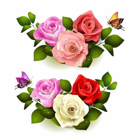 rose butterfly illustration - Roses with butterflies on white background Stock Photo - Budget Royalty-Free & Subscription, Code: 400-06082389