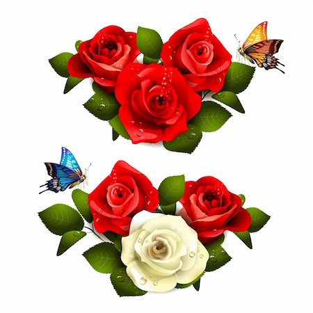 rose butterfly illustration - Roses with butterflies on white background Stock Photo - Budget Royalty-Free & Subscription, Code: 400-06082415