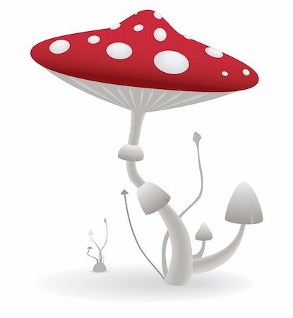 psychedelic trippy design - Vector illustration of a poisonous mushroom on the isolated white background Stock Photo - Budget Royalty-Free & Subscription, Code: 400-06083024