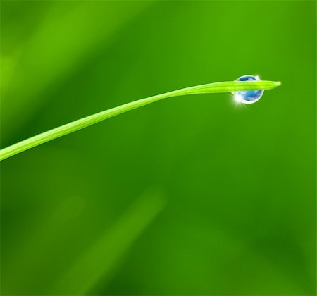 simsearch:400-07258772,k - Dewdrop with Sky reflection on Blade of Grass / copy space background Stock Photo - Budget Royalty-Free & Subscription, Code: 400-06083397